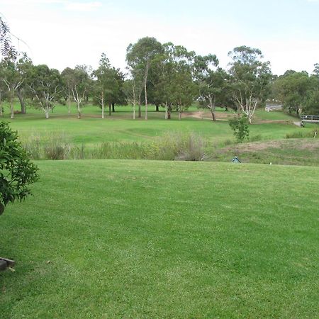 The Wayfarer Motel Muswellbrook Exterior foto